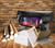 Pablo Picasso - Moliere sainte Roulette Theater 1904 Poster Canvas Movie Film Pr