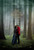 Far from the Madding Crowd (2015)_1 Movie Film Poster Canvas iconic design