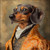 dachshund in a a dog in an ornate golden outfit. Art Gallery Poster Canvas Prin