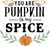 you-are-pumpkin-to-my-spice Poster Canvas Movie Film Print A0 A1 A2 A3 A4 A5 A6