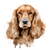 English Cocker Spaniel (1) Poster Canvas Print Art Painting Decor Reprint wall A