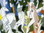 1980 Roy Lichtenstein Scene de foret Forest Scene American painting Art Gallery