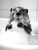 BeaverInBathtub-3by4 Poster Canvas Funny Annimals Pritnt A0 A1 A2 A3 A4 A5 A6