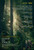 Leave No Trace (2018)_1 Poster Canvas Movie Film Print A0 A1 A2 A3 A4 A5 A6 Art