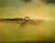 Salvador Dali - The Phantom Cart Poster Canvas Movie Film Print A0 A1 A2 A3 A4 A