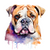 Bulldog (3) Poster Canvas Movie Film Print A0 A1 A2 A3 A4 A5 A6 Art Wall Decorat