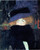 Gustav Klimt - Lady with a Hat and Feather boa 1910 Poster Canvas Movie Film Pri