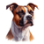 185 American Staffordshire Terrier Poster Canvas Movie Film Print A0 A1 A2 A3 A4