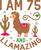 I Am 75 And Llamazing (2) Poster Canvas Movie Film Print A0 A1 A2 A3 A4 A5 A6 Ar