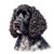 241 American Water Spaniel Poster Canvas Movie Film Print A0 A1 A2 A3 A4 A5 A6 A