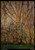 lilian-westcott-hale--the-backyard--jpb_15543221206_o(1) Art Gallery Poster Canv