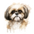Shih Tzu (3) Poster Canvas Movie Film Print A0 A1 A2 A3 A4 A5 A6 Art Wall Decora