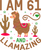 I Am 61And Llamazing (2) Poster Canvas Movie Film Print A0 A1 A2 A3 A4 A5 A6 Art