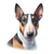 191 Miniature Bull Terrier Poster Canvas Movie Film Print A0 A1 A2 A3 A4 A5 A6 A