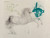 Salvador Dali (1904-1989). Pegasus, from The Mythology, 1963 Poster Canvas Movie