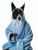 Teddy Dog in Bath Robe portrait Adorable Blue Gown Art Print Dog Decor Nursery P