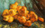 Vincent Willem van Gogh - Picture (39) Poster Canvas Movie Film Print A0 A1 A2 A