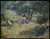 vincent-van-gogh---olive-orchard--jpb_15529634606_o(1) Poster Canvas Movie Film