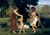 The_Pastoral_Recreation_1868 Poster Canvas Movie Film Print A0 A1 A2 A3 A4 A5 A6