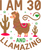 I Am 30 And Llamazing (2) Poster Canvas Movie Film Print A0 A1 A2 A3 A4 A5 A6 Ar