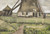 Vincent Van Gogh - The Laakmolen near The Hague Poster Canvas Movie Film Print A