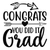 CONGRATS YOU DID IT GRAD-01 Poster Canvas Movie Film Print A0 A1 A2 A3 A4 A5 A6