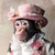 Gentelman Monkey with a pink hat featuring a floral design and accents of pink