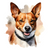 Basenji (1) Poster Canvas Movie Film Print A0 A1 A2 A3 A4 A5 A6 Art Wall Decorat