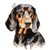 Transylvanian Hound (3) Poster Canvas Movie Film Print A0 A1 A2 A3 A4 A5 A6 Art