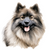 Keeshond (2) Poster Canvas Print Art Painting Decor Reprint wall A0 A1 A2 A3 A4