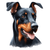 48 Doberman Pinscher Poster Canvas Movie Film Print A0 A1 A2 A3 A4 A5 A6 Art Wal