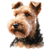 245 Welsh Terrier Poster Canvas Movie Film Print A0 A1 A2 A3 A4 A5 A6 Art Wall D