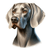 304 Weimaraner Poster Canvas Movie Film Print A0 A1 A2 A3 A4 A5 A6 Art Wall Dec
