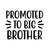 Promoted To Big Brother-01 (2) Poster Canvas Movie Film Print A0 A1 A2 A3 A4 A5