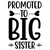 promoted to big sister-01 Poster Canvas Movie Film Print A0 A1 A2 A3 A4 A5 A6 Ar