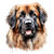 Leonberger (1) Poster Canvas Movie Film Print A0 A1 A2 A3 A4 A5 A6 Art Wall Deco