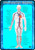 Human Circulatory System Poster Canvas Movie Film Print A0 A1 A2 A3 A4 A5 A6 Art