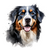 Bernese Mountain Dog (3) Poster Canvas Movie Film Print A0 A1 A2 A3 A4 A5 A6 Art