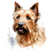 Australian Terrier (3) Poster Canvas Movie Film Print A0 A1 A2 A3 A4 A5 A6 Art W