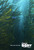 Finding Dory (2016)_4 Movie Film Poster Canvas iconic design