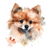 Pomeranian (9) Poster Canvas Movie Film Print A0 A1 A2 A3 A4 A5 A6 Art Wall Deco