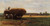 the-harvest Poster Canvas Movie Film Print A0 A1 A2 A3 A4 A5 A6 Art Wall Decorat