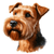 250 Irish Terrier Poster Canvas Movie Film Print A0 A1 A2 A3 A4 A5 A6 Art Wall D
