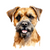 Border Terrier (3) Poster Canvas Movie Film Print A0 A1 A2 A3 A4 A5 A6 Art Wall