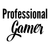 Professional Gamer-01 Poster Canvas Movie Film Print A0 A1 A2 A3 A4 A5 A6 Art Wa