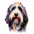 Bearded Collie (1) Poster Canvas Movie Film Print A0 A1 A2 A3 A4 A5 A6 Art Wall