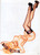 vintage art - cheesecake collection 3 - ma olivia - silk stockings Poster Canvas