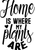 home is where my plants are (2) Poster Canvas Movie Film Print A0 A1 A2 A3 A4 A5