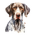 Pointer (3) Poster Canvas Movie Film Print A0 A1 A2 A3 A4 A5 A6 Art Wall Decorat