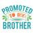 promoted to big brother-01 Poster Canvas Movie Film Print A0 A1 A2 A3 A4 A5 A6 A
